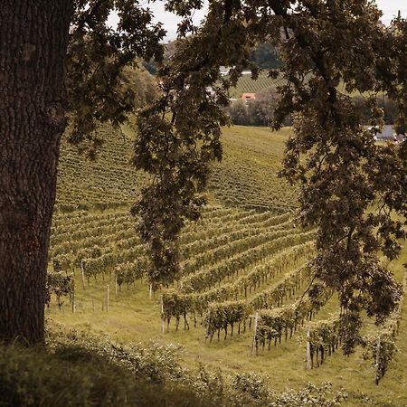 Weingut Assigal Villa Leibnitz Exterior foto